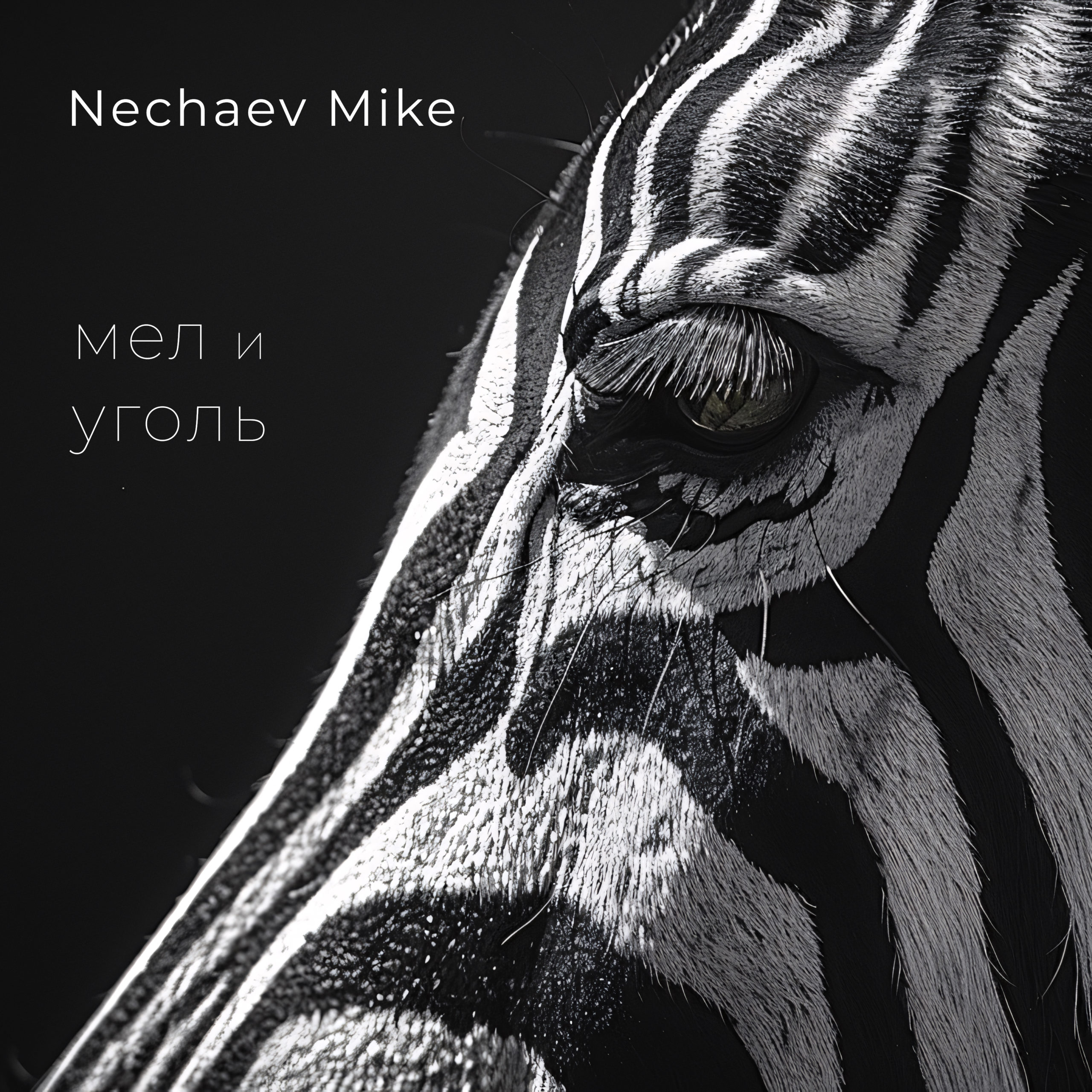 Nechaev Mike - Мел и Уголь